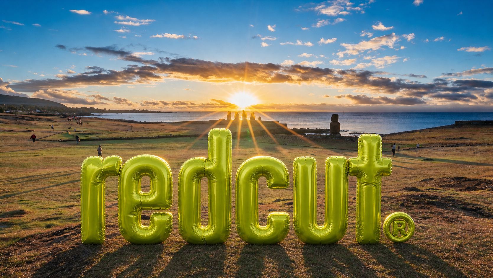 Montaje de RedCut en terreno